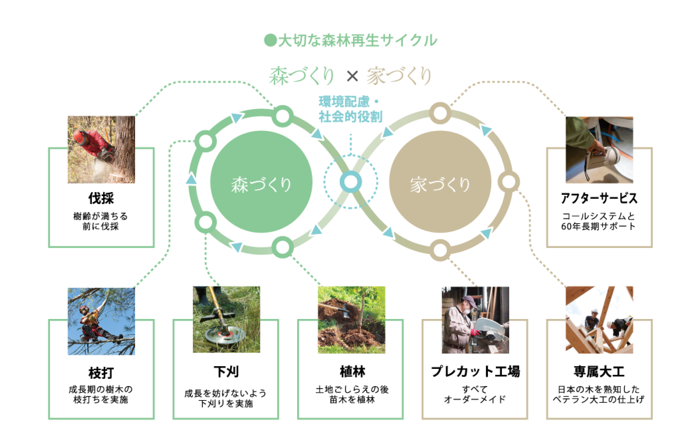 大切な森林再生サイクル